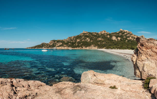 istock Roccapina beach in Corsica 2159774543