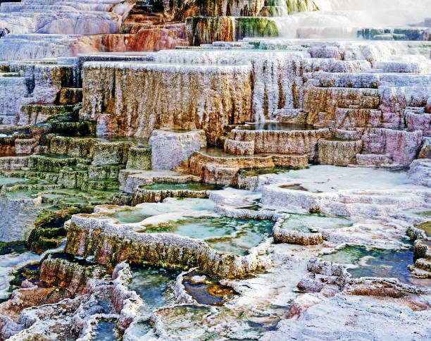 Minerva Terrace in  Mammoth Hot Springs, Yellowstone National Park