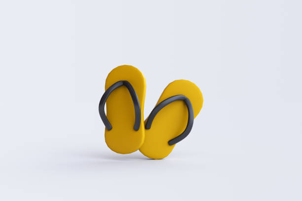 Three Dimensional, Beach, Flip-Flop, Slipper, Design Element