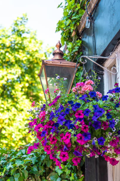 istock Old street lamp in London 2159782257
