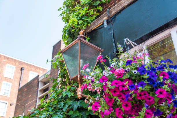 istock Old street lamp in London 2159782259