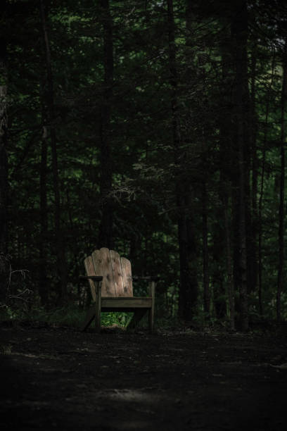 Un chaise de style adirondak dans la foret. An Adirondack-style chair in the forest.