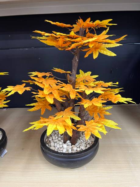 istock Yellow bonsai ornamental plants 2159787056