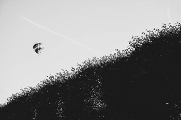 a hot air balloon is seen flying above a hedge