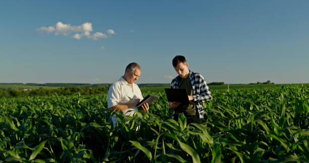 istock Two farmers from different generations collaborating in a cornfield, using a laptop. Concept of learning and knowledge transfer 2159788998