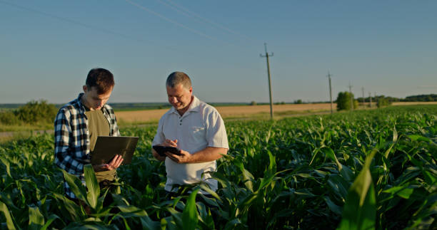 istock Two farmers working in a field, using a laptop and a tablet. Technology in agriculture 2159789135