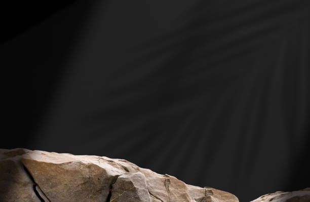 istock Studio Room Concrete Background,Grey,Brown Rock Cliff Stone Display stage stand Podium with light,Palm leaf shadow on Black Wall Cement background,Empty Backdrop for cosmetic Product Present branding 2159794466