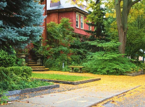 istock An entrance to  a house in the fall 2159794803