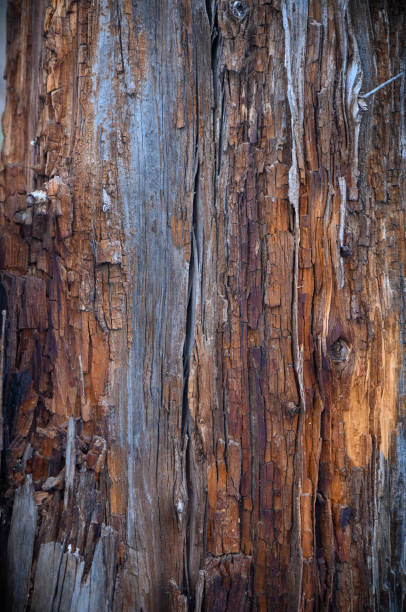 istock old wooden boards on the facade as a background 4 2159796928