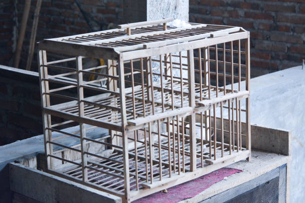 Red birdcage with open door. with a rural setting. low angle