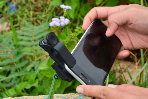 istock A female photographer taking a small object using a macro lens and a smartphone 2159797138