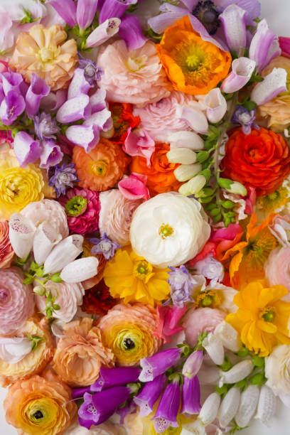 istock top view of mixed fresh modern flowers. 2159799095