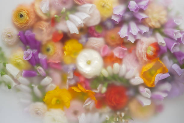 Huge abstract floral background with mixed flowers in soft blurred filter. Perfect composition for design and cover