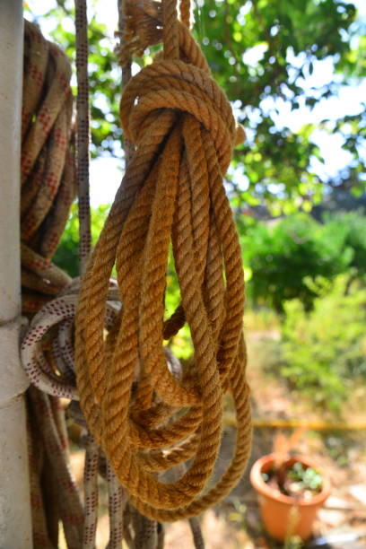 Rope Hanging up on wood