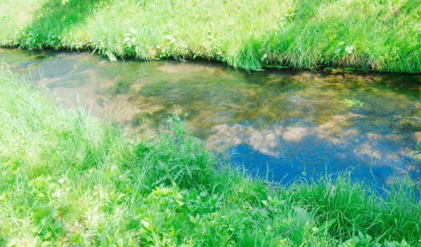 A stream with lush green meadows - Derebucak district, Çamlık Caves National Park