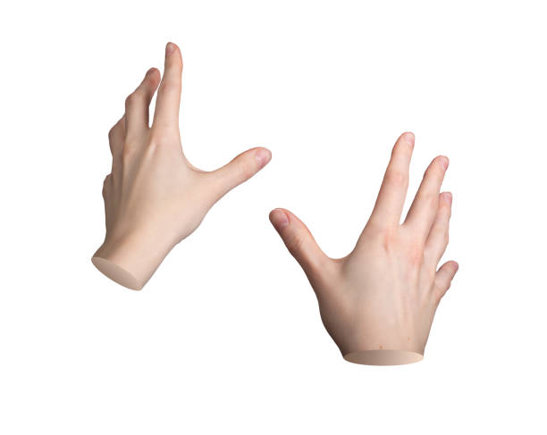 istock Both hands gesture, sign pov Holding, reaching, first person view isolated on white background 2159808337