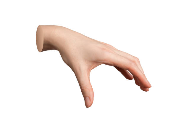 istock Hand gesture, sign, taking, grabbing, holding something isolated on white background 2159808351