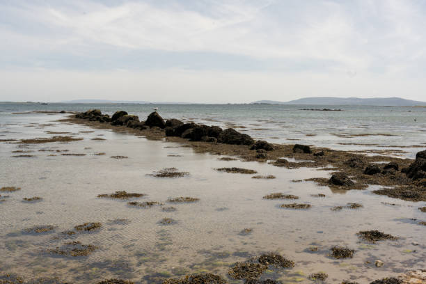 istock White sand beach in Gallway Ireland 2159813311
