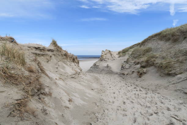 istock Sandy path to the beach on Norderney 2159813557