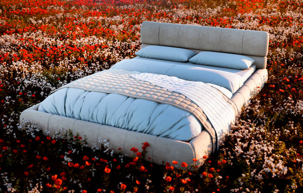 istock Bed in a grass field, good sleep, 3D illustration 2159815021