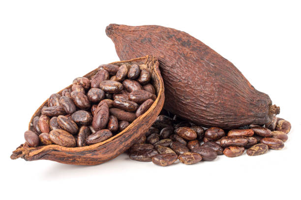 istock Cocoa beans in the shell and dried cocoa fruit. 2159817298