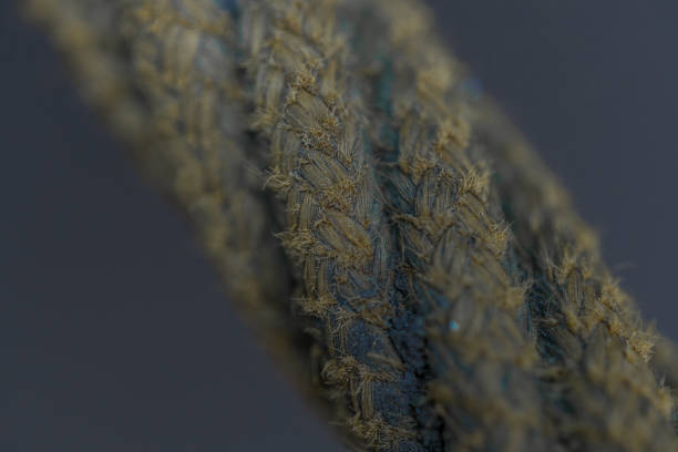 macrophotography of the fibers of a rope