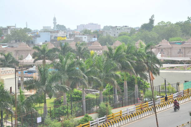 istock Palm trees are planted along the road 2159820198