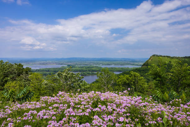 Mississippi River Scenic Landscape with Wildflowers stock photo