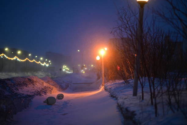 istock Street lighting and plafonds in the snow 2159824705