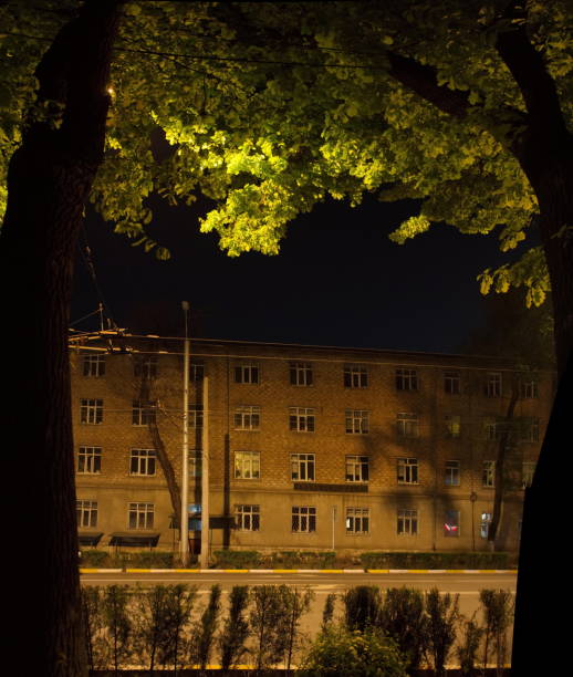 Bishkek, Kyrgyzstan. April 29, 2024. The crowns of oak trees illuminated by the light of night lanterns on one of the central streets of the capital.