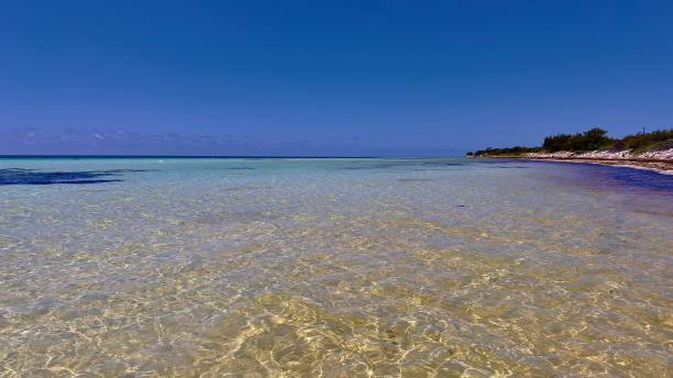 istock Beautiful clear waters in the keys 2159827024