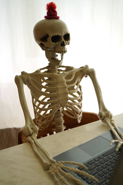 istock Skeleton with laptop sitting by the table . 2159830326