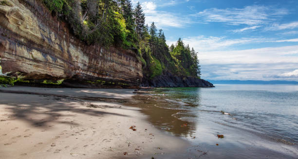 istock Sandy Beach on West Coast of Pacific Ocean. 2159833326