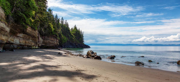 istock Sandy Beach on West Coast of Pacific Ocean. 2159833327