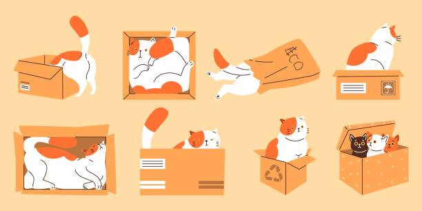 Cute cat playing lying and sitting inside in cardboard or paper bag in different poses vector flat set, funny feline pet Cute cats playing, lying and sitting inside in cardboard or paper bag in different poses vector flat set. Funny hiding kitten, looking out. Cartoon fluffy domestic animal in box, feline pets isolated cat muzzle meowing cartoon stock illustrations