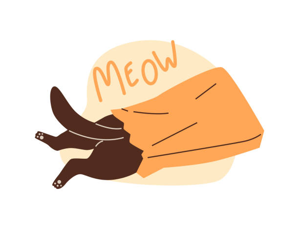 Cute black cat plays, climbs inside the paper bag, vector funny hiding kitten back view, cartoon fluffy feline pet, Meow Cute black cat climbs inside the paper bag vector flat illustration. Funny hiding kitten view from the back on tail and paws. Cartoon fluffy feline pet animal playing with package. Meow inscription cat muzzle meowing cartoon stock illustrations