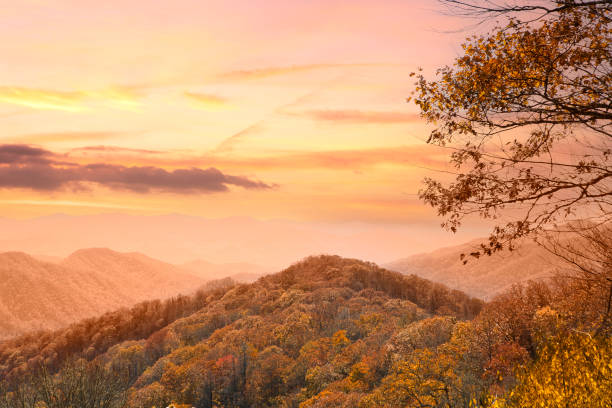 istock Smokey Mountain Autumn Leaves 2159837963