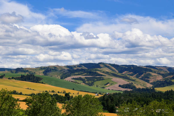 istock Vineyard in Walla Walla, Washington 2159842527