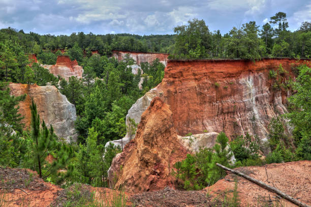 istock Providence Canyon State Park, Georgia 2159855740