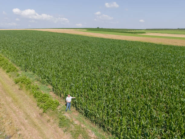 istock Small business, agriculture 2159859081