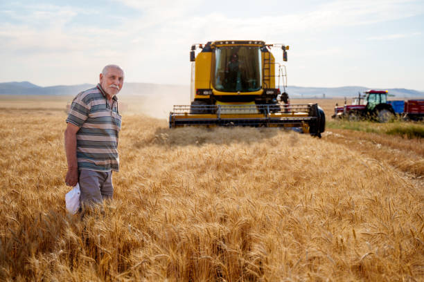 istock an older man standing in a vast, golden wheat field. 2159859419