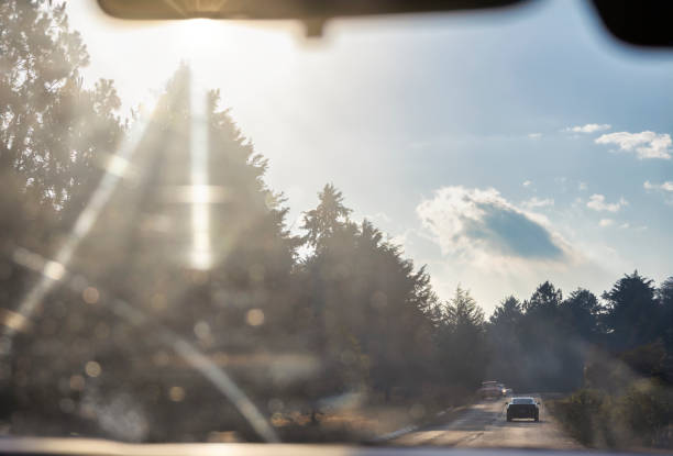 istock Co-driver's view in the car 2159861813