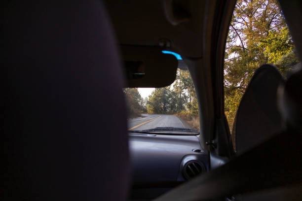 Seeing the road from the back seat