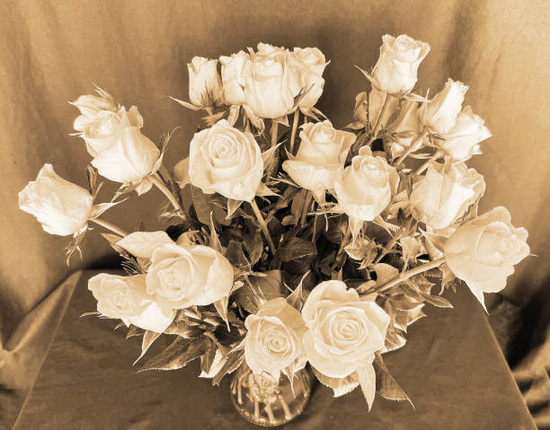 delicate white roses and gypsophila, also known as baby's breath, create a classic bouquet arrangement