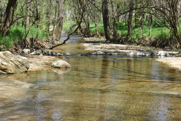 istock Johnson Creek at Paris Springs Access 2159863917