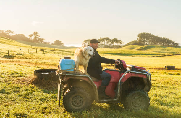 istock Farmer with his dog at farm. 2159869547