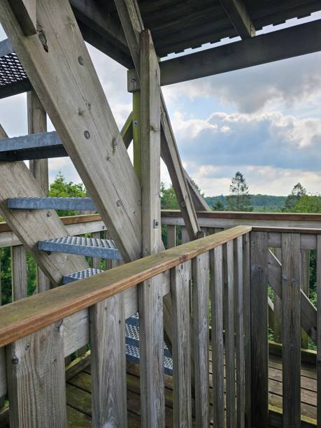 istock The wooden observation tower 2159872953