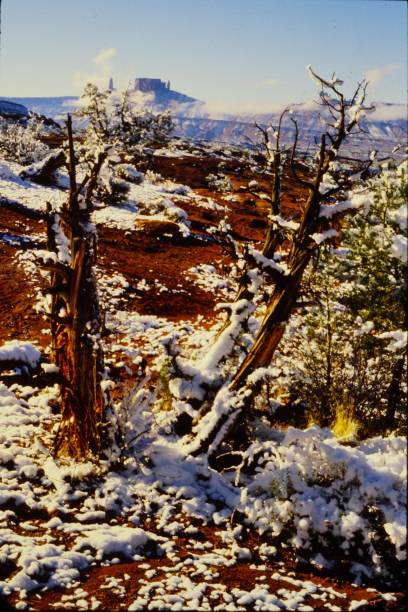 istock Fischer Towers Utah December 1981 2159874043