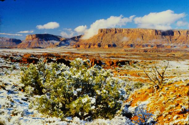 Fischer Towers and Professor Valley Utah December 1981