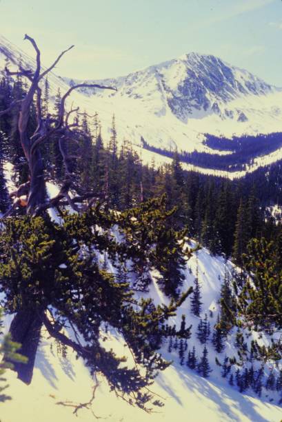 istock Climbing and skiing on Mount Torreys March 1982 2159875426